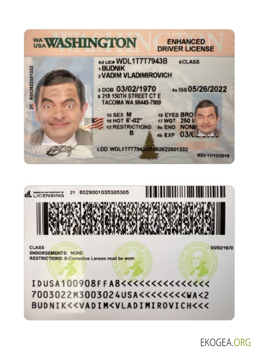 USA Washington driving license 2022 present